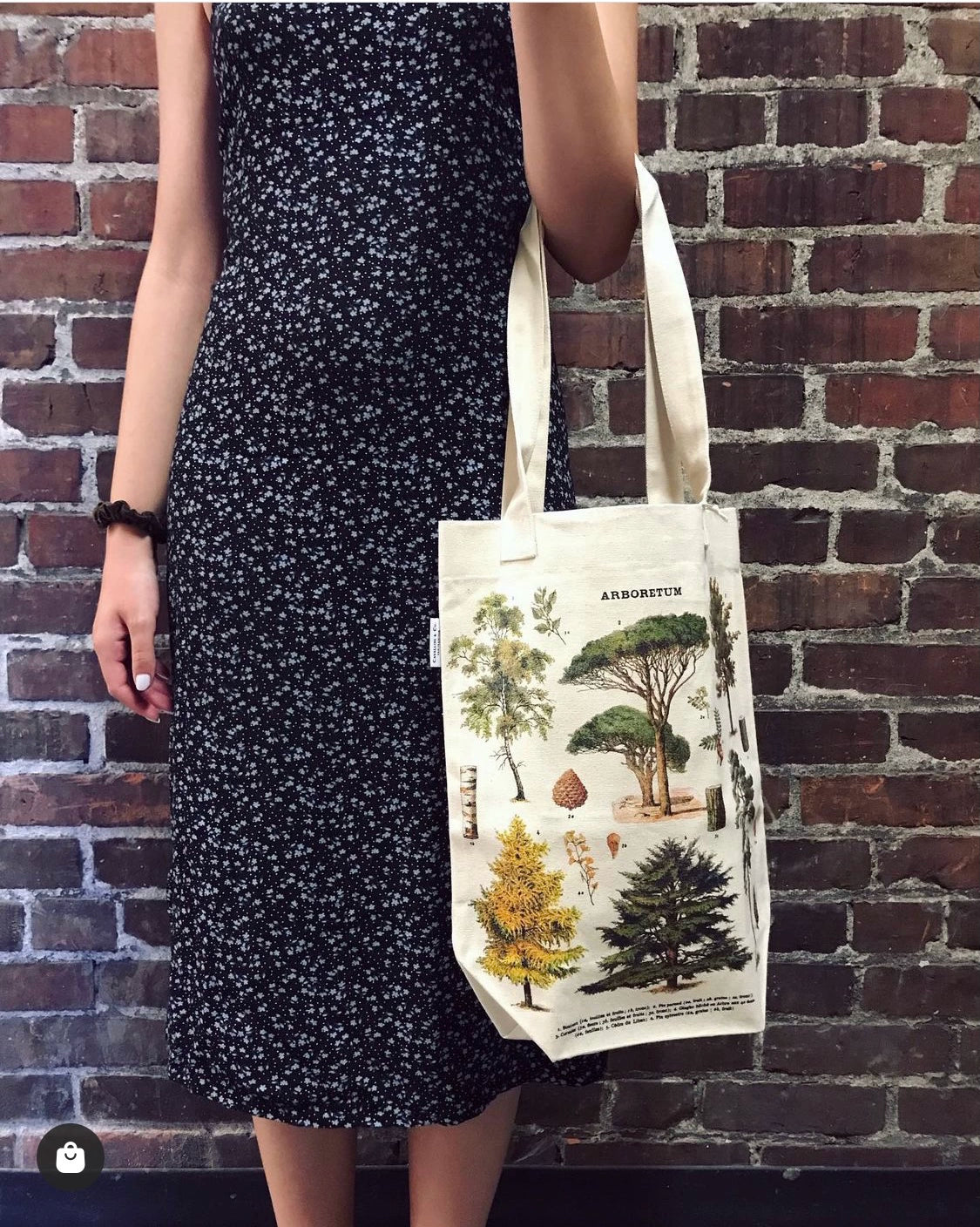 Cavallini Retro Style Canvas Bag American Brand Plant Animal Blog Map Shoulder Tote Bag
